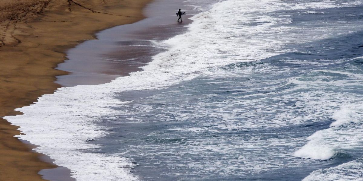 California surfer makes narrow escape after shark chomps his board. ‘My lucky day’