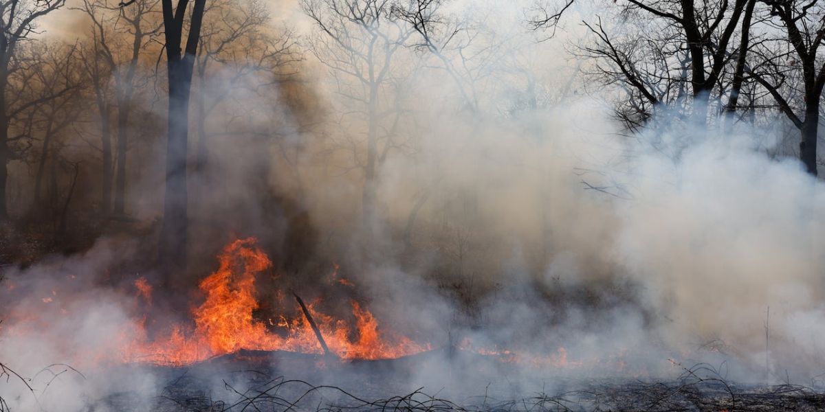 Canadian Wildfire Smoke Blankets U.S. Cities Again as 2024 Fire Season Mirrors Record-Breaking 2023