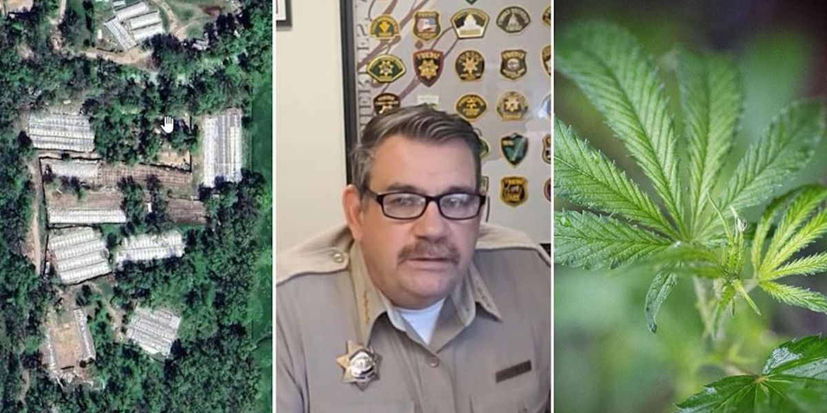 Mendocino County Sheriff Responds to Lawsuit Over Cannabis Raids on Native American Land